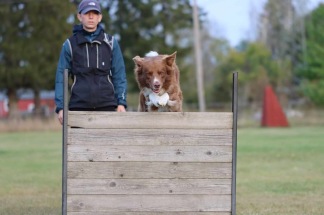 Hoppteknik med Maria Knutas - Plats med hund