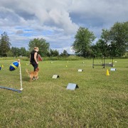 Temadag rallylydnad 31/8