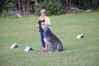Temadag rallylydnad 30/8 - Plats med hund
