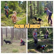Prova på bruks