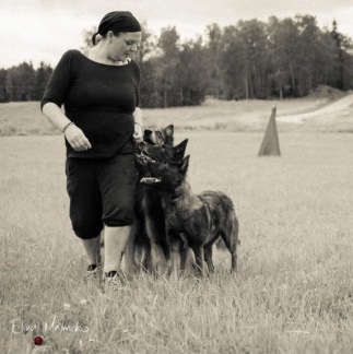 Stark lydnad för vardag & tävling - 