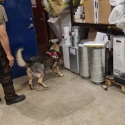 Specialsök grundkurs