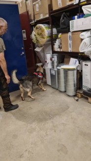 Specialsök grundkurs - 