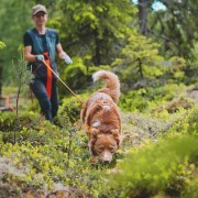 Spårkurs nybörjare