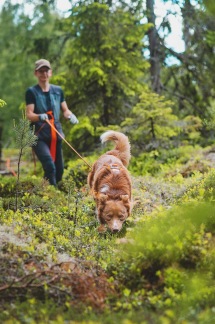 Spårkurs nybörjare