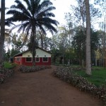 Debora farm