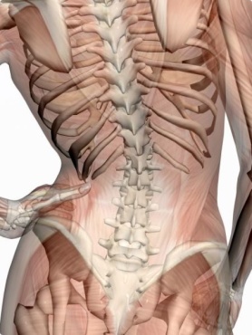 HälsoPerlan i Åhus erbjuder holistisk behandling med Dornmetoden (Dornterapi) mot tex ryggvärk,  besvär med axel, nacke, rygg och lede.