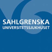Språkbolaget – translate IT and technology texts – Sahlgrenska