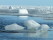 Guide Natura Arctics ice kayaking (10)
