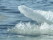 Guide Natura Arctics ice kayaking (11)