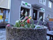 Tolgs Lanthandel Tolgs Lanthandel