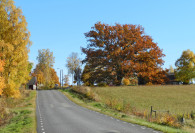 Kyrkbacken - "Gloelid" Kyrkbacken - "Gloelid"
