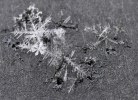 Snöflingor