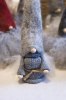 Tomte