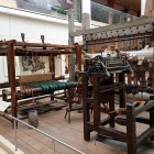 IMG_20240711_103745827_MFNR
