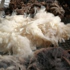 Fleece