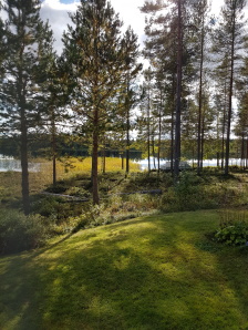 Utsikten från kattgården i stugan. Utsikten från kattgården i stugan.
