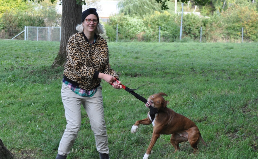 Hitta det din hund tycker är allra roligast och hoppas att din hund ser bättre ut än min hund när hen gör det. Hitta det din hund tycker är allra roligast och hoppas att din hund ser bättre ut än min hund när hen gör det.