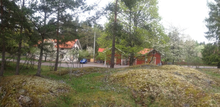 Det här är hemma hos mig i Bettna, fotot är taget från grannens fårhage någon gång i våras. Det är en idyll vi bor i. En lite luggsliten men kär boplats där vi långsamt, men enträget gräver och snickrar, putsar och filar för att skapa oss en alldeles egen plätt på jorden. Det går inte fort, men vi har faktiskt inte bråttom. Det här är hemma hos mig i Bettna, fotot är taget från grannens fårhage någon gång i våras. Det är en idyll vi bor i. En lite luggsliten men kär boplats där vi långsamt, men enträget gräver och snickrar, putsar och filar för att skapa oss en alldeles egen plätt på jorden. Det går inte fort, men vi har faktiskt inte bråttom.