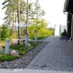 Låga marktäckare och sedum till vänster om gången