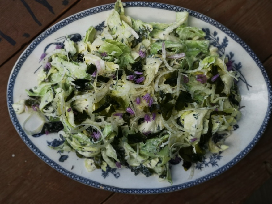 Sallad med SaltTång Sallad med SaltTång
