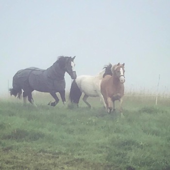 Betty och Fanzy Betty och Fanzy
