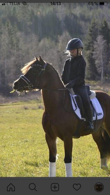 Brinne & hans tidigare ägre Lovisa Brinne & hans tidigare ägre Lovisa
