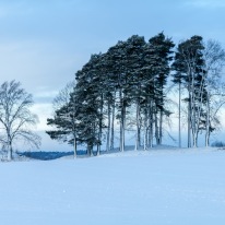 Januari, foto Conny Andersson