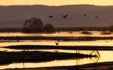 20220420-Trana-5367