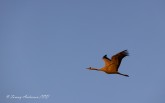 20220420-Trana-5407-2