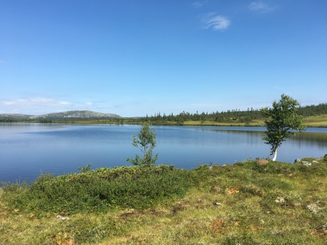 Fjällsjö. Härjedalen. Foto: Privat Fjällsjö. Härjedalen. Foto: Privat