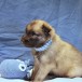thumbnail_IMG_3736