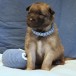 thumbnail_IMG_3742