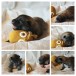 thumbnail_20250323_225319-COLLAGE