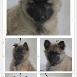 20251021_180135-COLLAGE