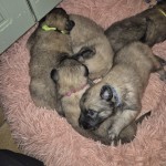 thumbnail_20250404_222409