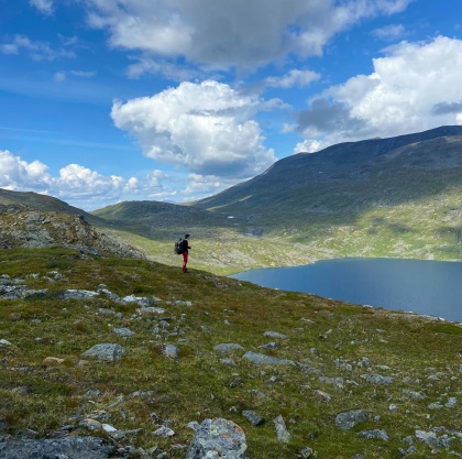 Linnaeus hike