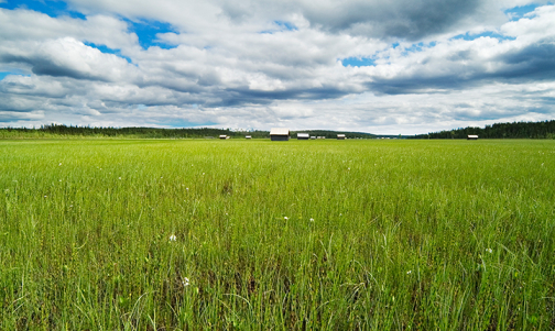 Vasikkavuoma wetlands (© Norrbottens museum)