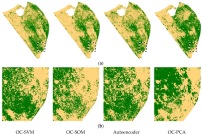 Novelty Detection Classifiers in Weed Mapping: Silybum marianum Detection on UAV Multispectral Images. Silybum marianum coverage based on four novelty classifiers prediction in the study area (a); and in the focus area (b) S. marianum is green colour and other vegetation is yellow Novelty Detection Classifiers in Weed Mapping: Silybum marianum Detection on UAV Multispectral Images. Silybum marianum coverage based on four novelty classifiers prediction in the study area (a); and in the focus area (b) S. marianum is green colour and other vegetation is yellow