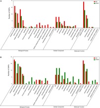 Physiological and Proteomic Responses of Contrasting Alfalfa (Medicago sativa L.) Varieties to PEG-Induced Osmotic Stress. Gene Ontology (GO) analysis of DAPs in roots of Medicago sativa L. cv. Longzhong (A) and cv. Gannong No. 3 (B) under PEG-induced osmotic stress (red and green bars represent up- and down-regulated proteins, respectively). Cuimei Zhang, et al. Front Plant Sci. 2018;9:242 Physiological and Proteomic Responses of Contrasting Alfalfa (Medicago sativa L.) Varieties to PEG-Induced Osmotic Stress. Gene Ontology (GO) analysis of DAPs in roots of Medicago sativa L. cv. Longzhong (A) and cv. Gannong No. 3 (B) under PEG-induced osmotic stress (red and green bars represent up- and down-regulated proteins, respectively). Cuimei Zhang, et al. Front Plant Sci. 2018;9:242
