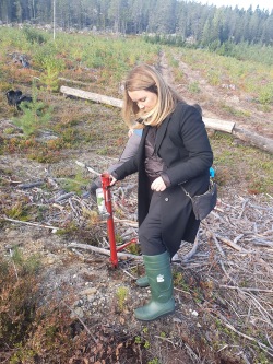 När Jennie Nilsson besökte Holmen Skog, som är medlem i Svensk Torv, planterade hon en tall strax utanför Gideå norr om Örnsköldsvik. Foto: Simon Andersson.