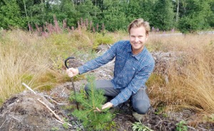 Daniel Hägglund med en planta efter två växtsäsonger i skogen. Foto: Holmen Frö och Plant