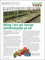 Svensk Torvs sida i tidningen Viola