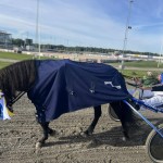 87857083_617057655537745_1386407995675508736_n