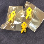 Hårda pin 1