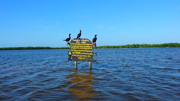 Mitt ute på floden började naturreservatet. Mitt ute på floden började naturreservatet.