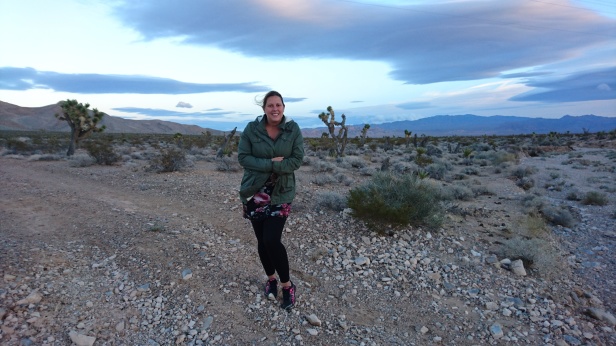 Nevadaöknen på Route 66, December 2016 Nevadaöknen på Route 66, December 2016