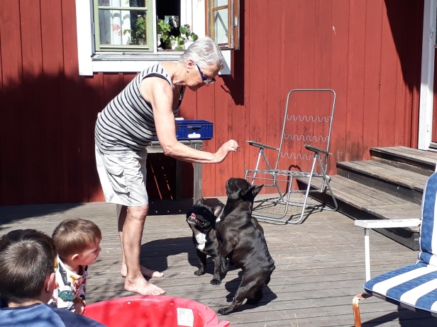 Kicki och Maya visar upp lite konster. Nappe är väldigt intresserad av hundgodiset... Kicki och Maya visar upp lite konster. Nappe är väldigt intresserad av hundgodiset...