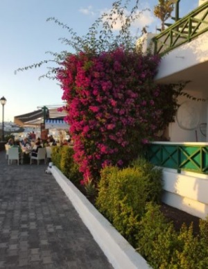 Vår semester till Spanien och Lanzarote var välbehövlig efter många tuffa besked under hösten. Vår semester till Spanien och Lanzarote var välbehövlig efter många tuffa besked under hösten.