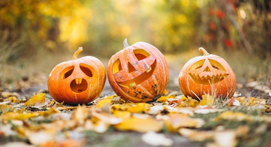 Det är mycket spöken just nu. Fast då tänker jag inte på halloween. Jag tänker på hjärnspöken. Det är mycket spöken just nu. Fast då tänker jag inte på halloween. Jag tänker på hjärnspöken.